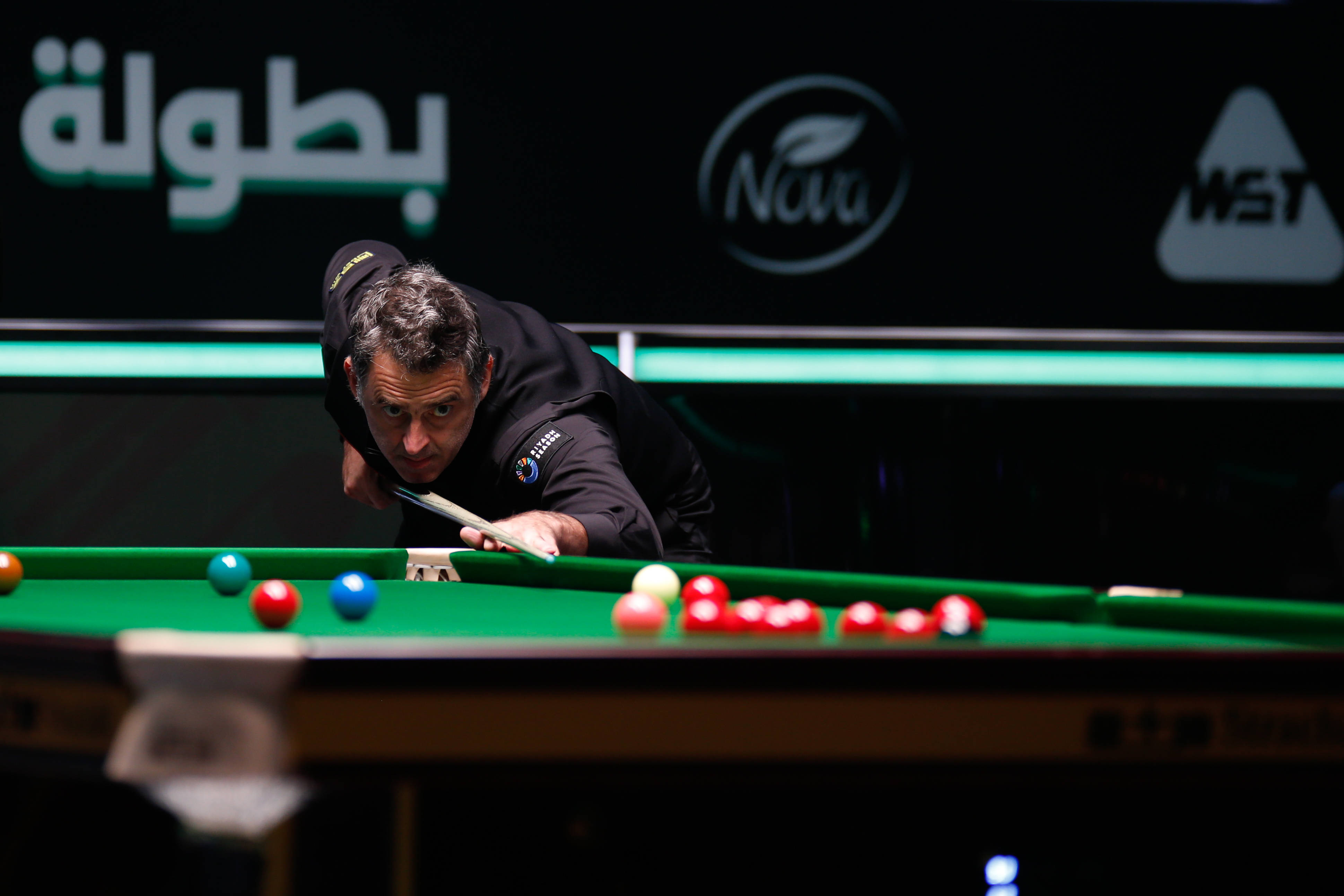 提供了重要 提供了重要