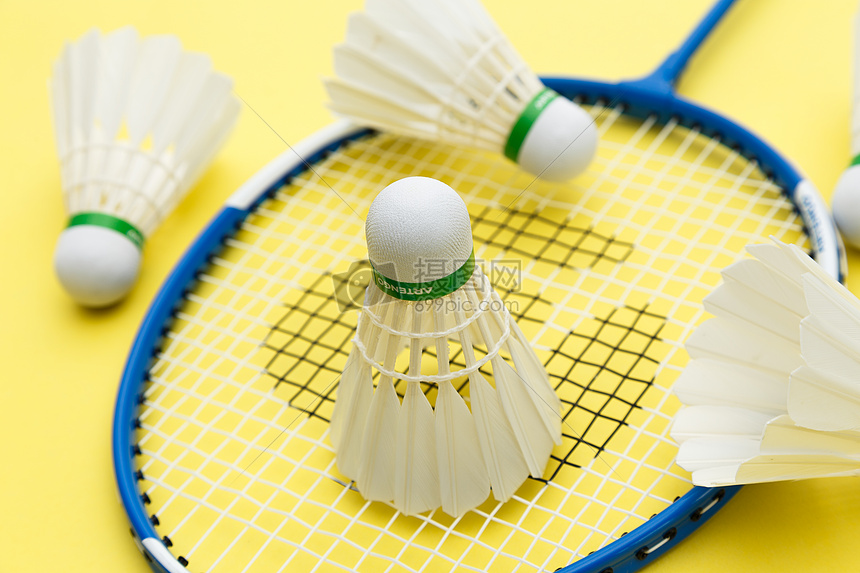 了活力和信 了活力和信